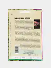 Семена Хна Lawsonia inermis