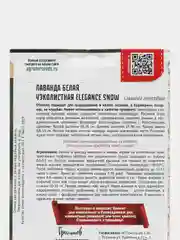 Лаванда Белая Elegance Snow, семена, цветы
