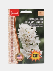 Лаванда Белая Elegance Snow, семена, цветы