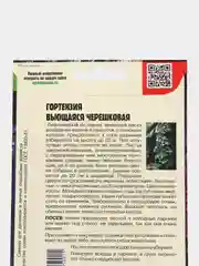 Семена Гортензия "Вьющаяся черешковая"