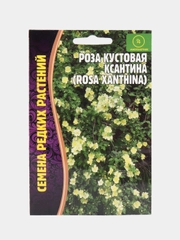 Семена Розы "Кустовая Ксантина"