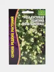 Семена Розы "Кустовая Ксантина"