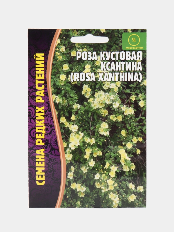 Семена Розы "Кустовая Ксантина"