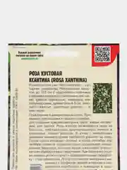 Семена Розы "Кустовая Ксантина"