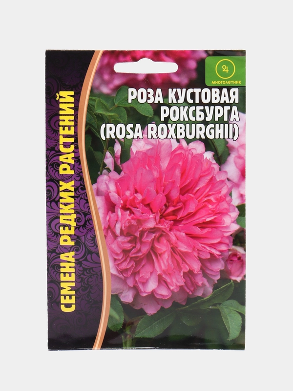 Семена Розы "Кустовая Роксбурга"