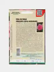 Семена Розы "Кустовая Роксбурга"