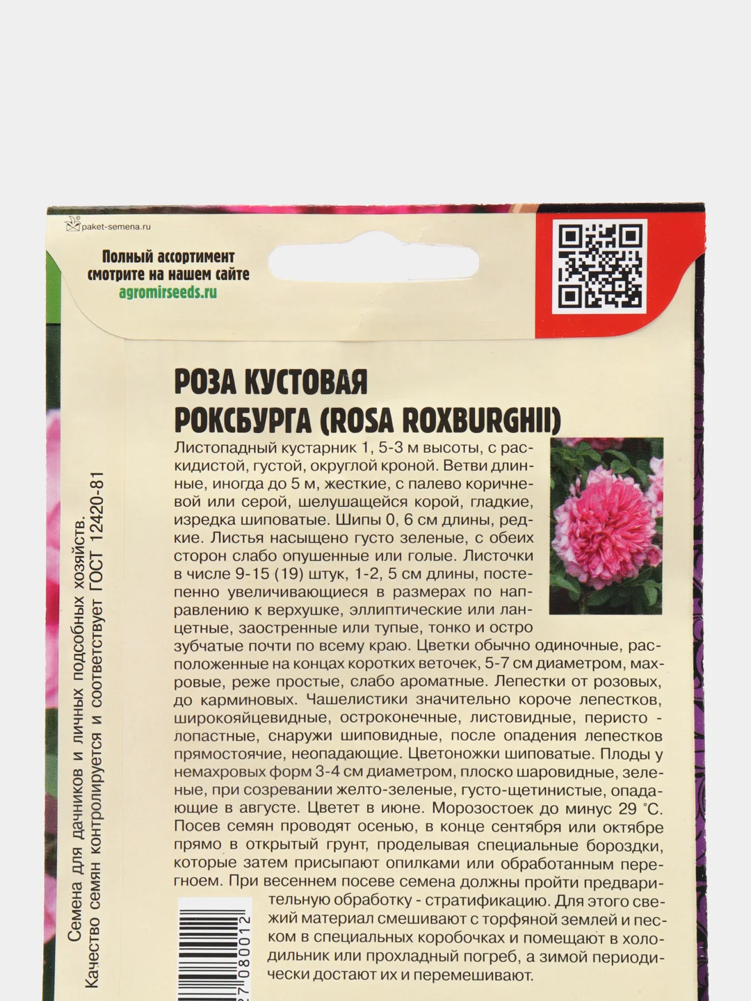 Семена Розы "Кустовая Роксбурга"