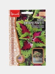 Семена Колеус "Визард Роуз"