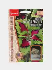 Семена Колеус "Визард Роуз"