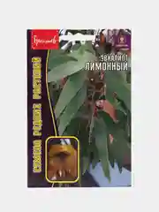 Семена Эвкалипт "Лимонный"