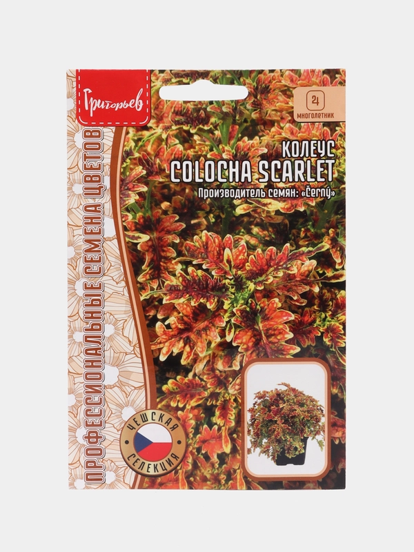 Семена Колеус Golocha Scarlet