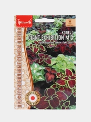 Колеус GIANT EXHIBITION MIX