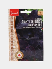 Колеус GIANT EXHIBITION PALISANDRA, семена