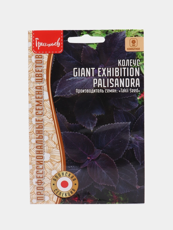 Колеус GIANT EXHIBITION PALISANDRA, семена