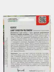 Колеус GIANT EXHIBITION PALISANDRA, семена