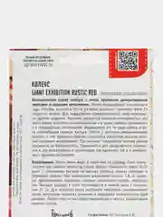 Семена Колеус Giant Exhibition Rustic Red