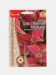 Семена Колеус Giant Exhibition Rustic Red