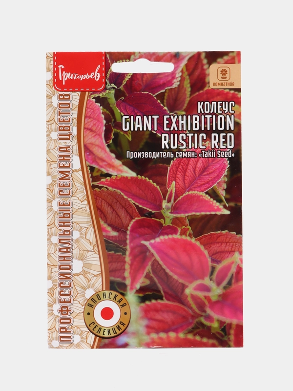 Семена Колеус Giant Exhibition Rustic Red