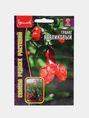 Семена Гранат "Карликовый"