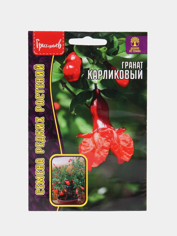 Семена Гранат "Карликовый"