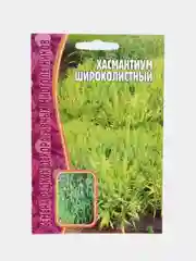 Хасмантиум Широколистный, семена