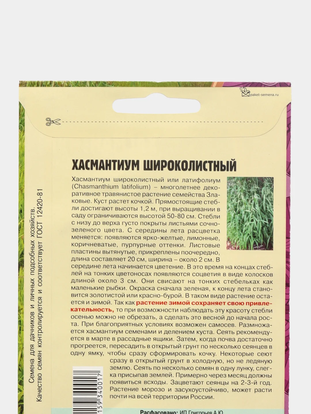 Хасмантиум Широколистный, семена