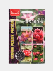Семена Лотос орехоносный