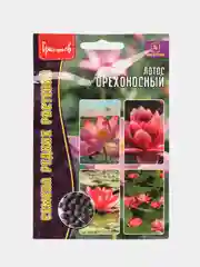 Семена Лотос орехоносный