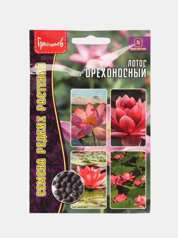 Семена Лотос орехоносный
