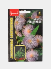 Семена Мимоза "Стыдливая"