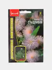 Семена Мимоза "Стыдливая"