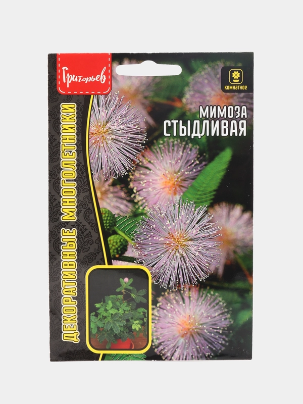 Семена Мимоза "Стыдливая"