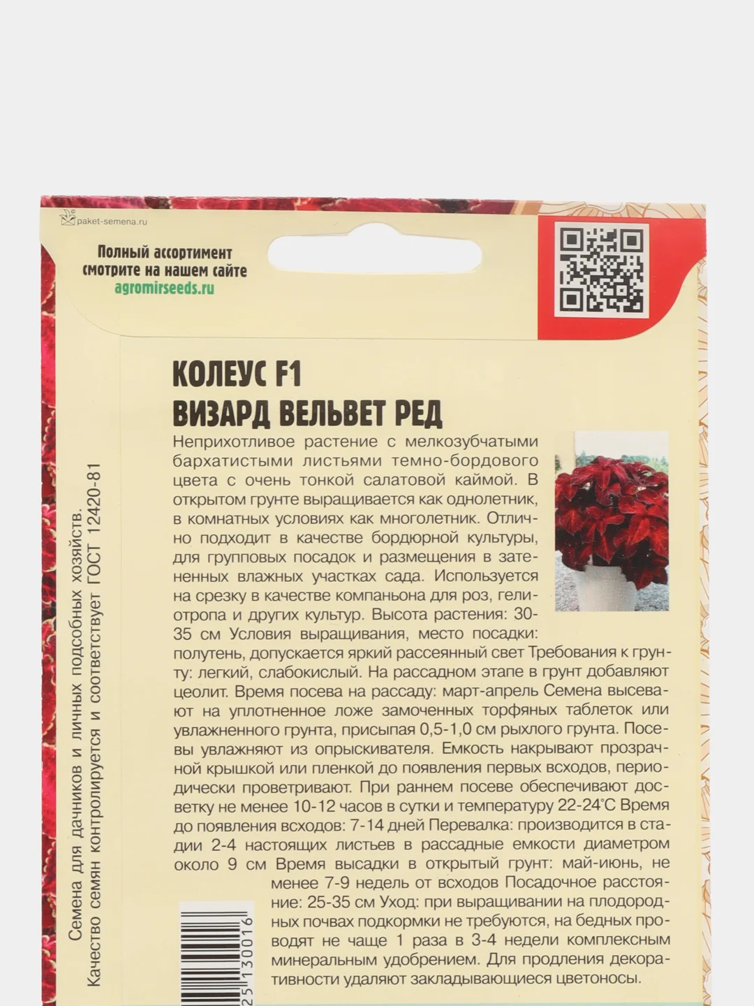Колеус "Визард Вельвет", семена