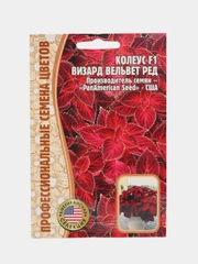 Колеус "Визард Вельвет", семена