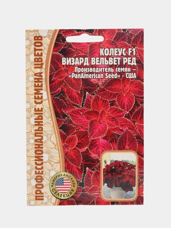 Колеус "Визард Вельвет", семена
