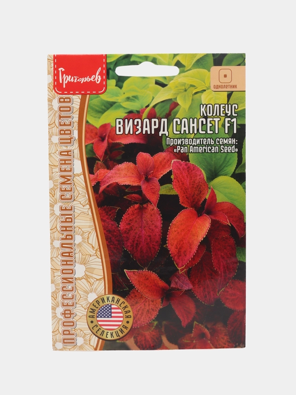 Семена Колеус "Визард Сансет"