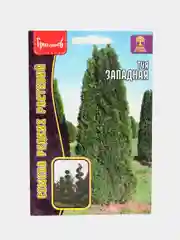 Туя Западная, семена