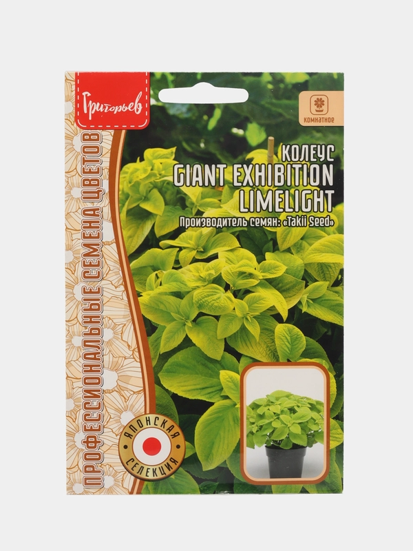 Колеус GIANT EXHIBITION LIMELIGHT (семена)