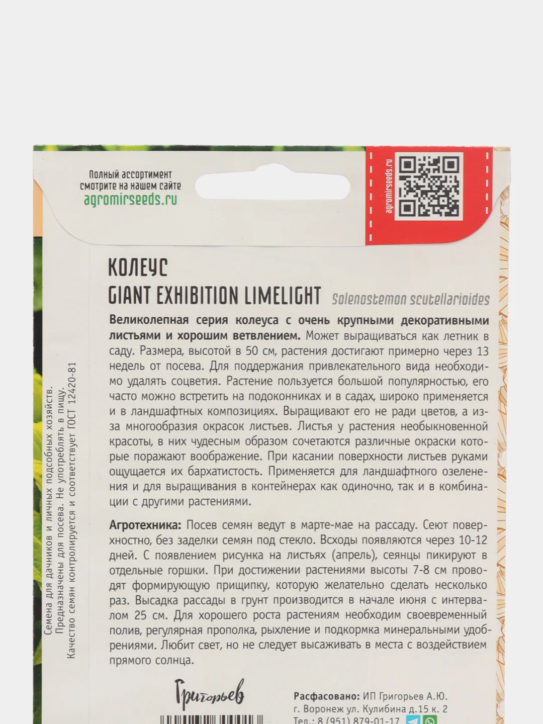 Колеус GIANT EXHIBITION LIMELIGHT (семена)