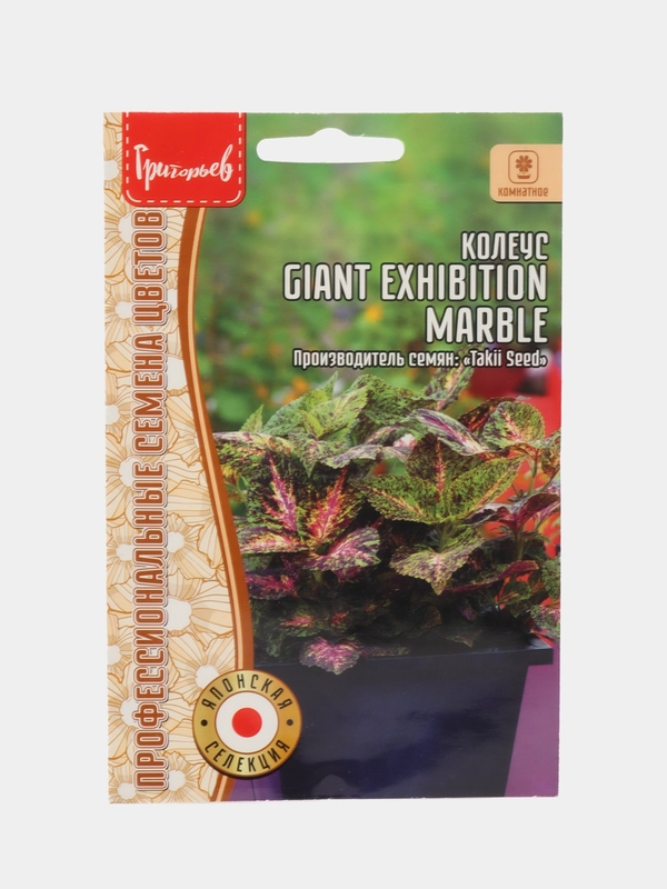 Семена Колеус Giant Exhibition Marble