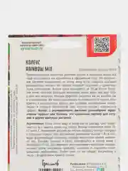 Семена Колеус Rainbow Mix