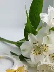 Золотой подсвечник из гипса "Лотос"