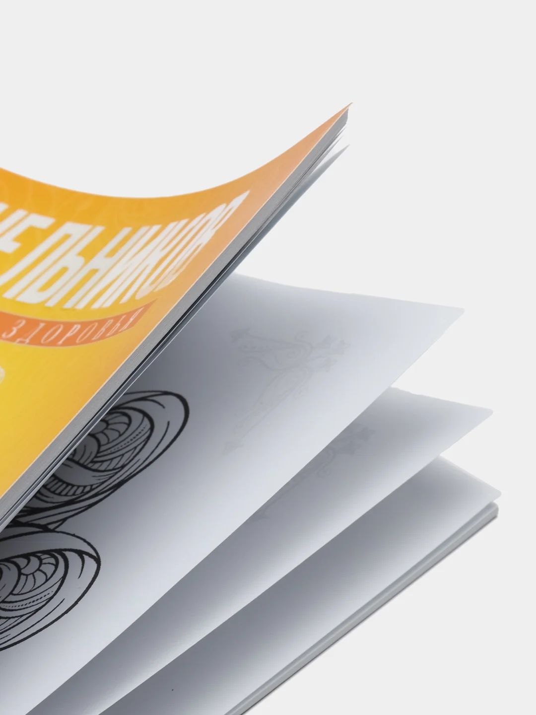 Синельников В.В. Манипура. Солнечное сплетение. Исцеление пищеварительной системы