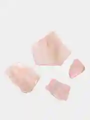 Ракушка для дизайна ногтей, маникюра и творчества