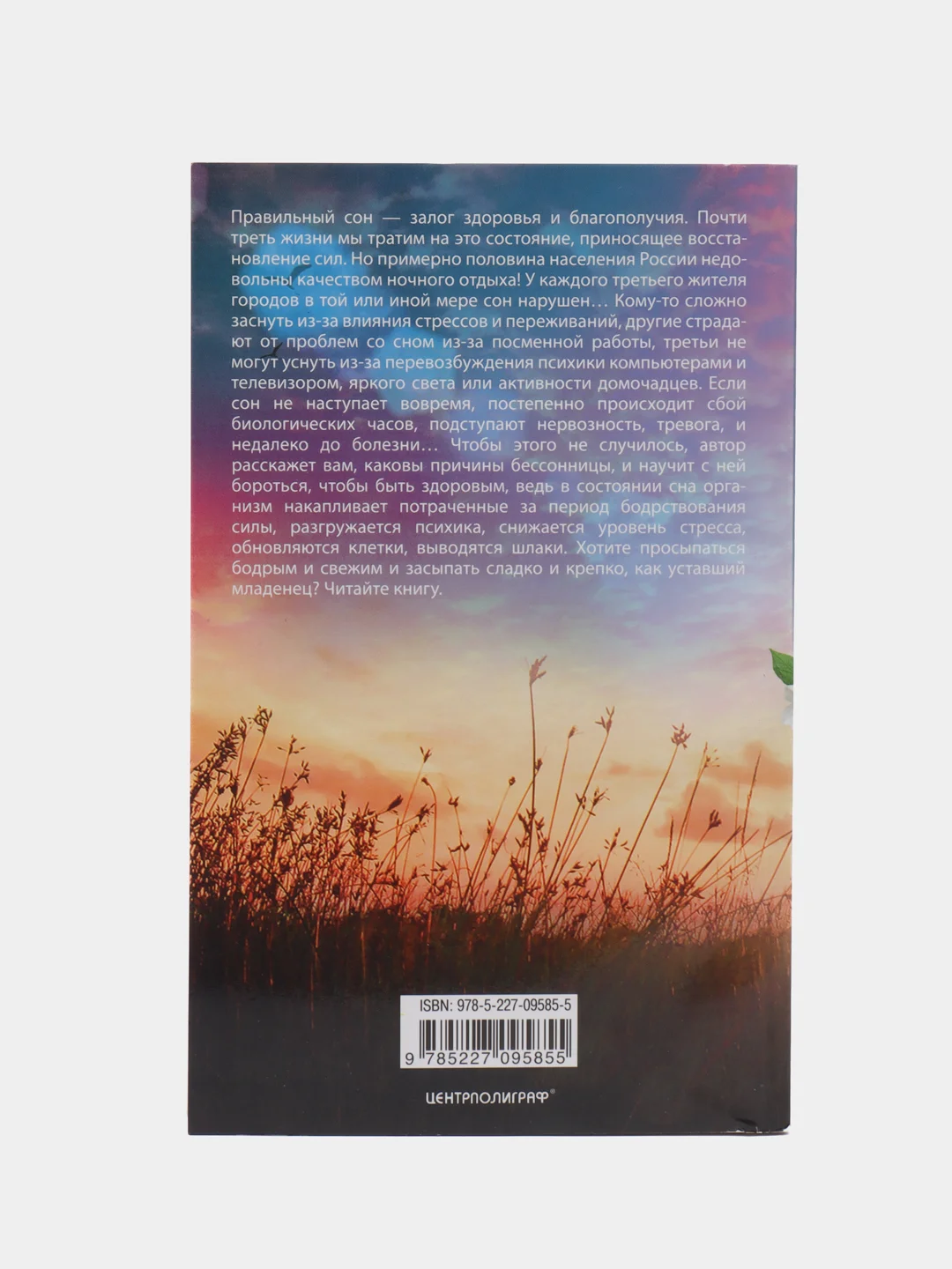 Книга "Лечение бессонницы" Пигулевская И.С.