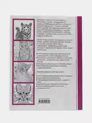 Творческая раскраска замурчательных котиков. Cats-6, Л. Тейлор