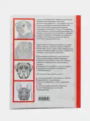 Dogs. Творческая раскраска симпатичных собачек, Л. Тейлор