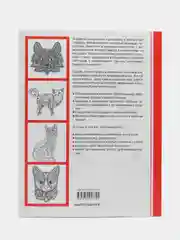 Творческая раскраска замурчательных котиков Cats-4, Л. Тейлор