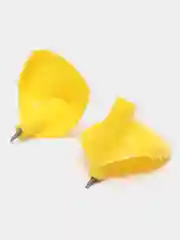 Горчичный лапка для лыжных палок