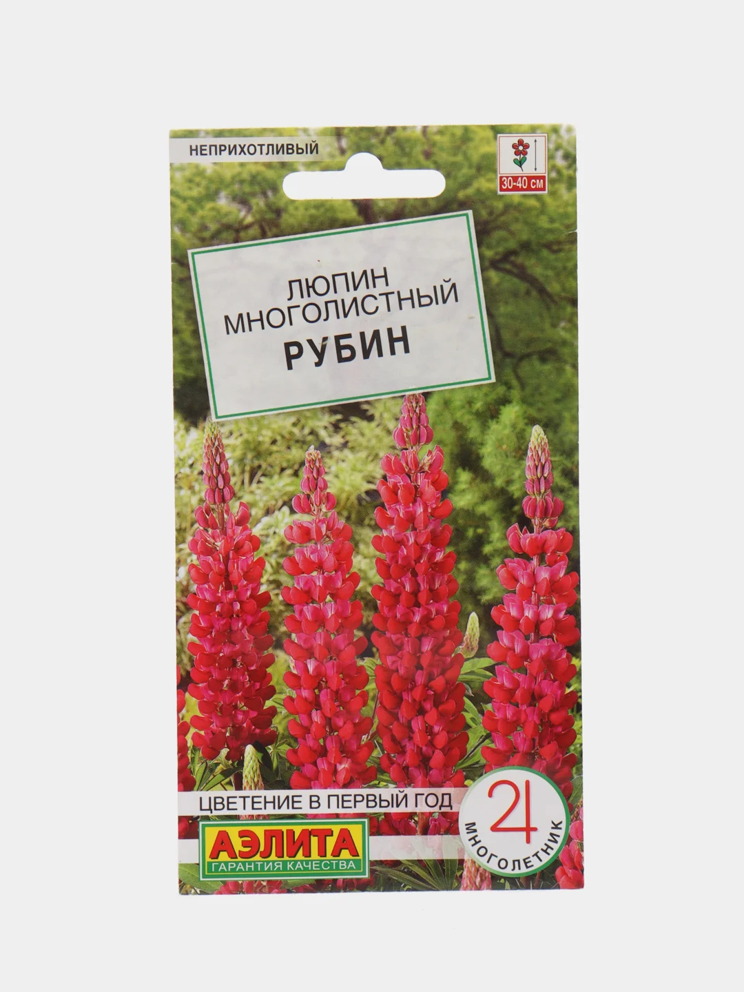 Алый люпин многолистный в ассортименте, семена цветов